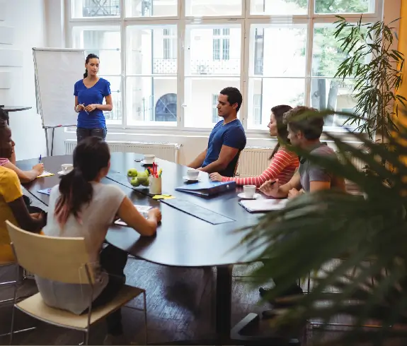 Training & Mentoring